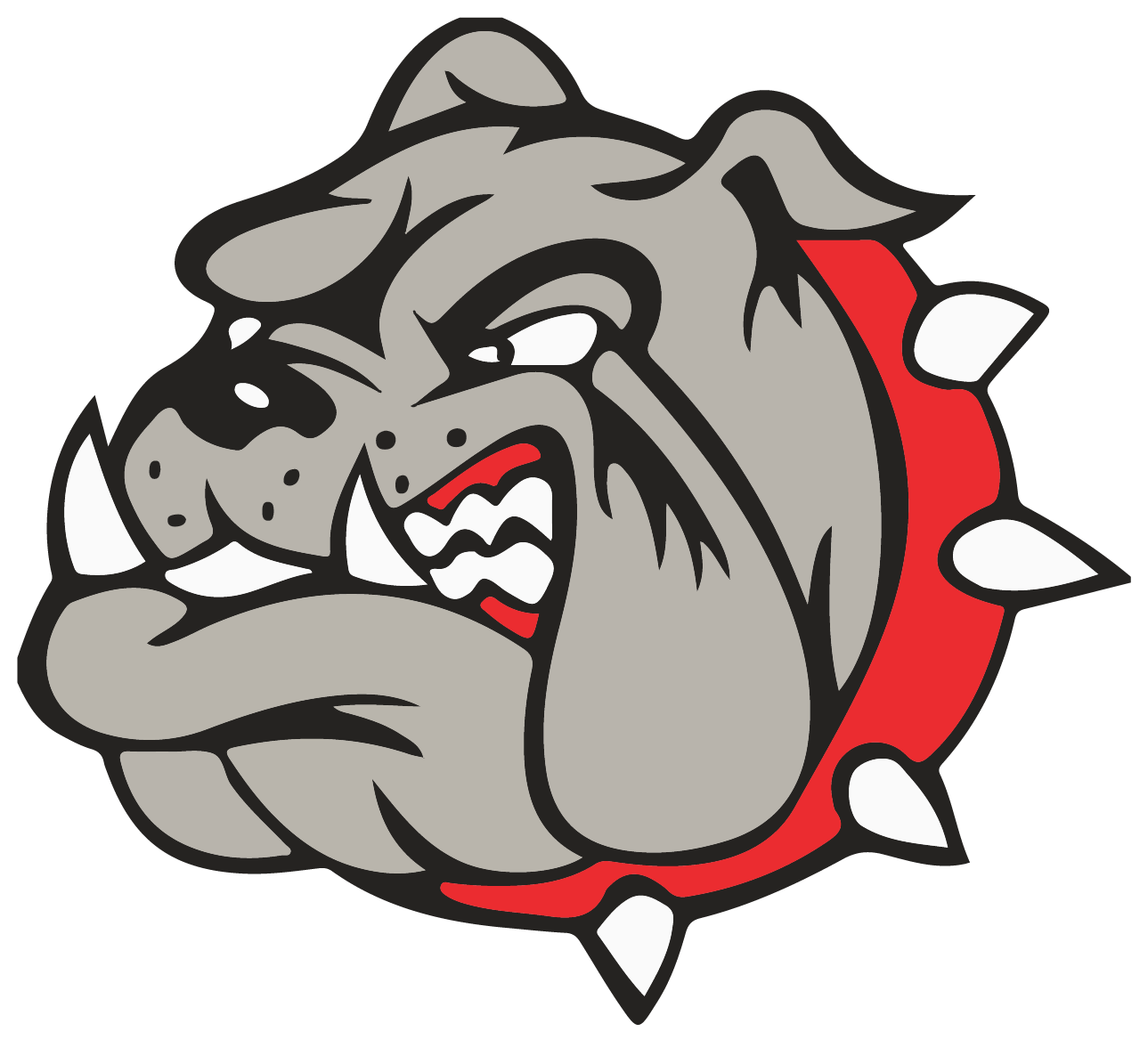 Bedford Bulldogs Soccer